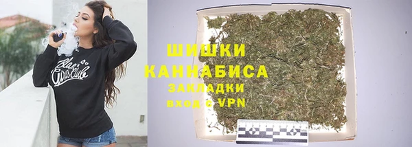твердый Богородск