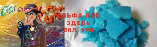 прущие грибы Богородицк