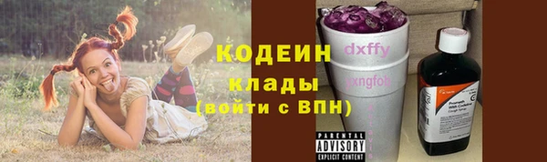 прущие грибы Богородицк