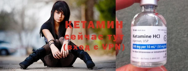 прущие грибы Богородицк