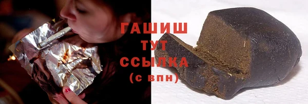 соль ск Тайга
