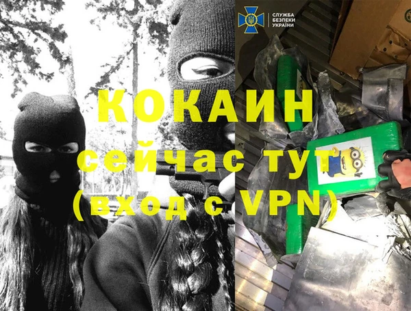 прущие грибы Богородицк