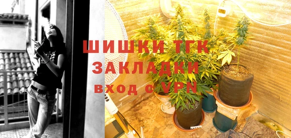 твердый Богородск