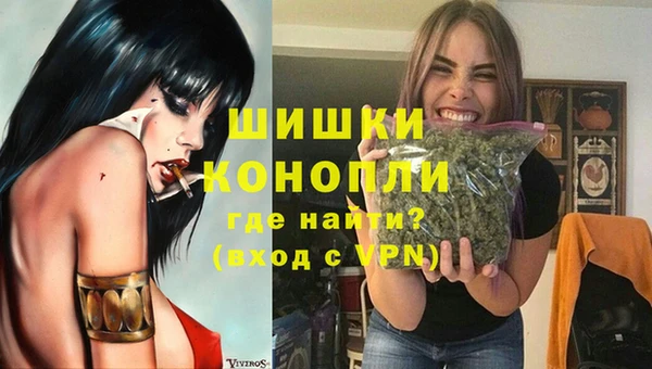 твердый Богородск