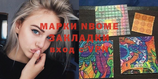 прущие грибы Богородицк