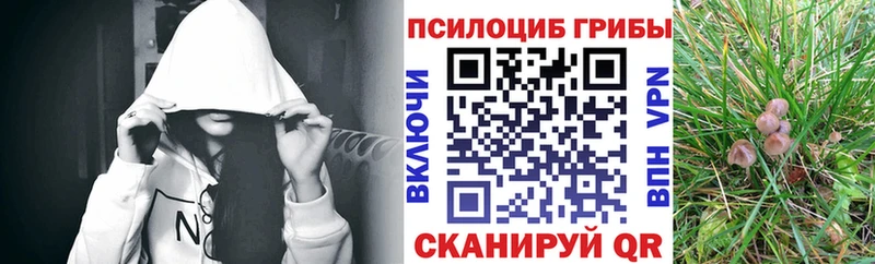 mega как войти  Афипский  Псилоцибиновые грибы Cubensis 